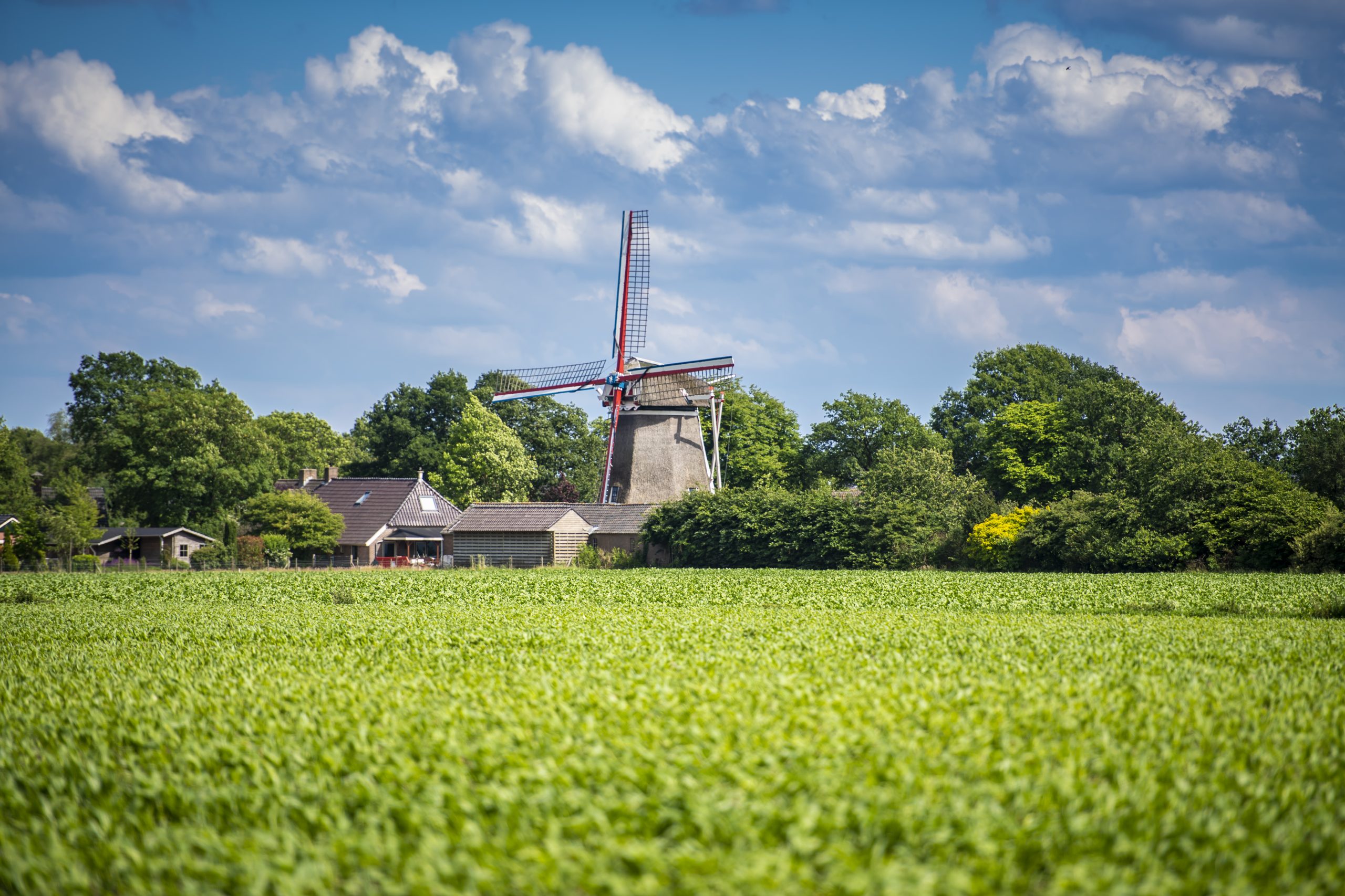 Etappe 16: Noord-Sleen – Sleen