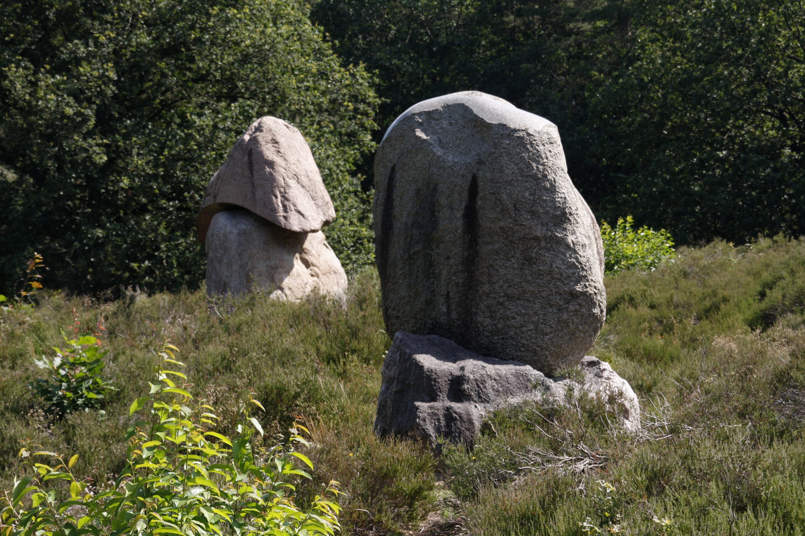 Etappe 10+11: Wezuperbrug – Schoonoord