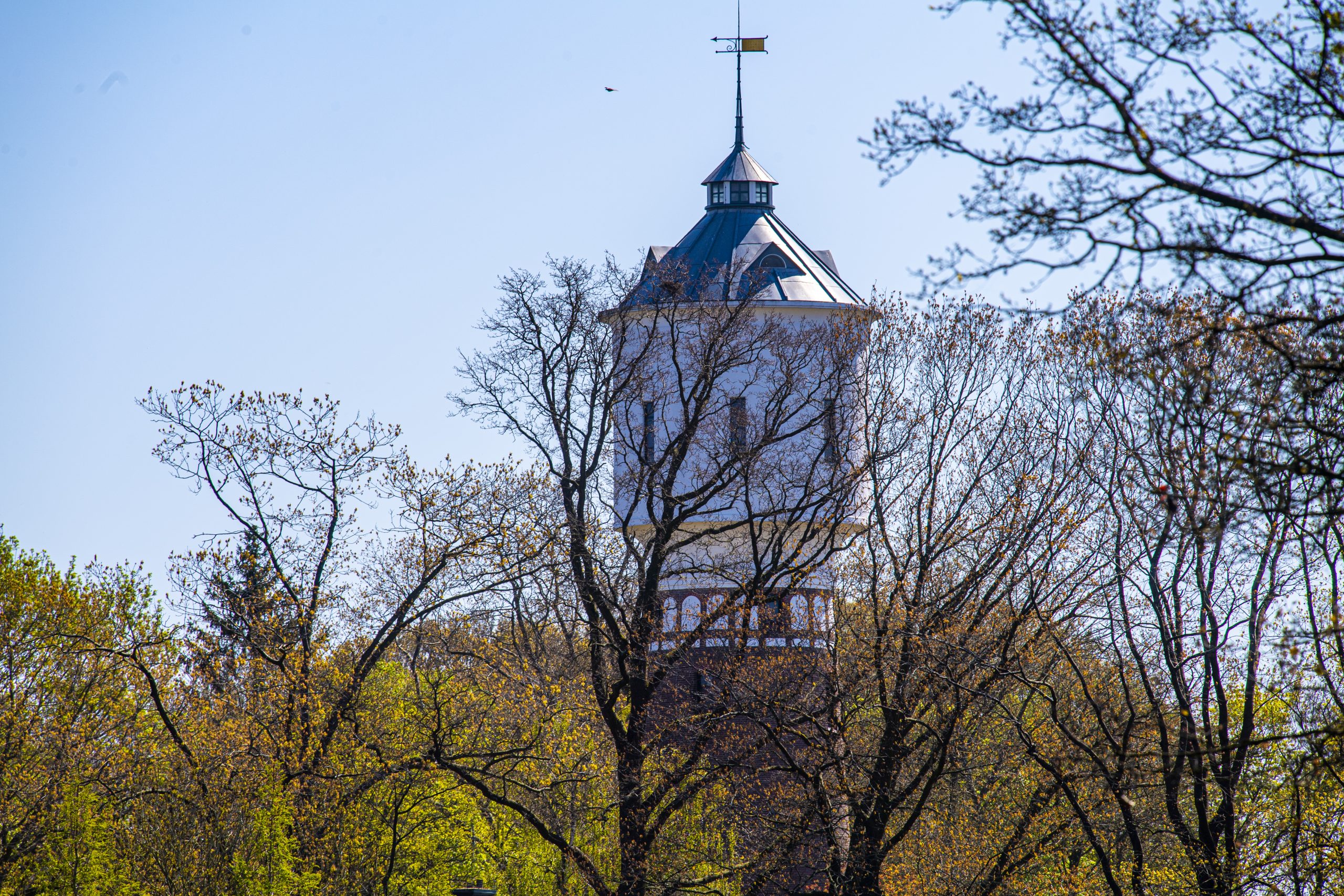 Etappe 21: Coevorden – Dalerpeel